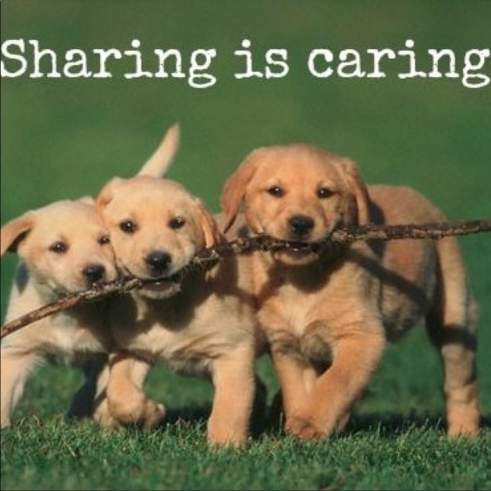 Love to help you share!! ❤️